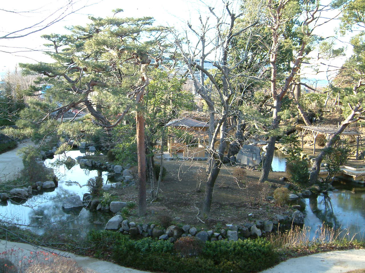 臨江閣の庭